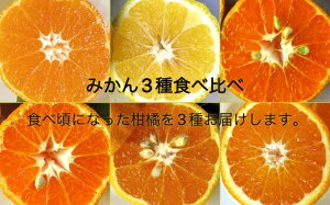 yӂ邳Ɣ[ŁzR7N12蔭 󂠂 ݂3 v3kg ܂Hה׃Zbg ͔|Ԓ _ y k k ~J ʕ ʎ t[c  fU[g N  