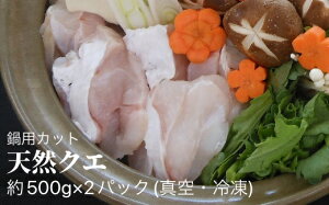 【ふるさと納税】鍋用冷凍クエ1kg（500g×2パック）〜幻の天然高級魚〜【DK-1】