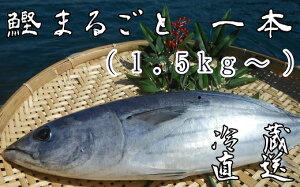 yӂ邳Ɣ[Łz   N VN { 1.5kg `ws  C ̂ ̂  hg hg hg hg ۂ 1{ 1  AW ƒ ① 