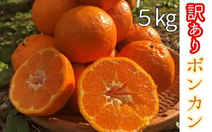 yӂ邳Ɣ[Łzstߘa8N2y󂠂z cƂ̖_ۂ񂩂i5kgj fR|̐e ݂ ~J k t[c |J łۂ  fU[g Â  ƒp 