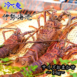 yӂ邳Ɣ[Łzyst10{ȍ~zⓀɐCV1kgiTCY܂jCNBBQ AEghA Lv j   Gr ɐ CZGr hg hg  X` Ⓚz 