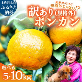 【ふるさと納税】規格外だけど規格外じゃない!? 訳あり 足摺ぽんかん 5kg 10kg デコポンの親 みかん 柑橘 果物 果実 ミカン ポンカン フルーツ おやつ デザート 5キロ 美味しい 井村農園 高知県 土佐清水市 故郷納税 返礼品 高知 送料無料【R01485】