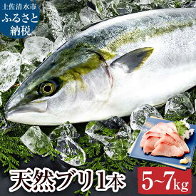 【ふるさと納税】天然ブリ1本（5kg～）下処理なし まるごと直送便 令和8年3月以降発送※着日指定不可※ 2026年発送 先行予約 鮮魚 お刺身 刺身 たたき ぶりしゃぶ ぶり大根 塩焼き ぶり 1匹 1尾 天然 冷蔵 新鮮 魚 おいしい 人気 ランキング 海鮮丼 おすすめ 【R01211】