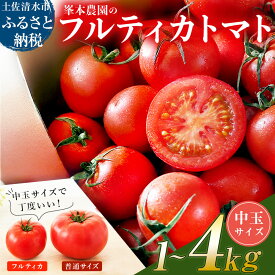 【ふるさと納税】【11月発送】トマト 国産 中玉 サイズ 選べる 1kg 2kg 3kg 4kg ミディトマト フルティカ フルティカトマト 新鮮 野菜 夏野菜 産地直送 高知 トマトジュース 5000円ちょうど 8000円 12000円 15000円【R01031】