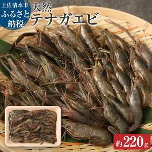 yӂ邳Ɣ[ŁzeiKGr VR 蒷CV Gr CV eiKGr 蒷Gr 삦 Y fg g bk Ⓚ 1pbNiⓀ 220gj Ⓚ z BBQ Lv  ܂ m