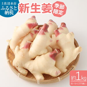 yӂ邳Ɣ[Łz st VI 1kg I I WW[ 傤 VEK 1L  { Gߌ _ƒ ώ Ð|Ђ K WW[G[ Yn VN ܂  ₦