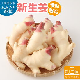 【ふるさと納税】新生姜 3kg 季節限定 農家直送 3キロ 甘酢漬け ガリ 佃煮 ジンジャーエール しょうが ショウガ 佃煮 甘酢漬け 食品 新鮮 野菜 旬 産地直送 温まる 温活 冷え対策 国産 故郷納税 高知県 土佐清水市 送料無料 高知【R00366】