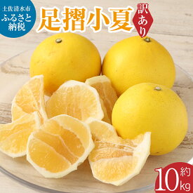 【ふるさと納税】【令和8年発送】 小夏 訳あり 早川農園の足摺小夏 10kg 日向夏 みかん 柑橘 フルーツ こなつ 小夏 ニューサマーオレンジ ワケあり 訳 自宅用 ご家庭用 美味しい 果物 ふるさとのうぜい 故郷納税 返礼品 高知 土佐清水市 【R00435】