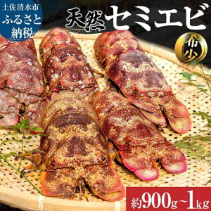 yӂ邳Ɣ[Łzyst10{ȍ~z@̓VRZ~Gr 900g`1kgiTCY܂jt̂͂IZ~CV ݂ CN BBQ X` VN  A  H