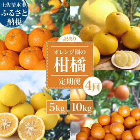 【ふるさと納税】令和8年発送 訳あり オレンジ園の柑橘4種（ぽんかん・文旦・タンカン・小夏）各5kg 各10kg 4回定期便 フルーツ定期便 ポンカン ぶんたん 果物 蜜柑 みかん ミカン 柑橘 フルーツ デザート 常温 配送 高知県 土佐清水 故郷納税 ふるさとのうぜい 【J00100】
