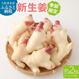 yӂ邳Ɣ[Łz st VI 傤 VEK Y 2kg GߌE_ƒ Ð|Ђ K ώ WW[ WW[G[  Hi  VN { Yn ܂  ₦΍ 