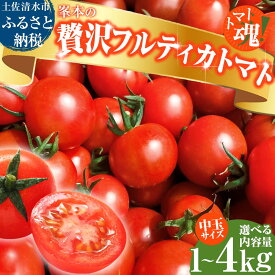 【ふるさと納税】【令和7年11月発送】 ミニトマト フルーツトマト トマト 国産 中玉 サイズ 選べる 1kg 2kg 3kg 4kg プチトマト ミディトマト フルティカ とまと フルティカトマト新鮮 野菜 夏野菜 産地直送 高知 トマトジュース 5000円 8000円 12000円 15000円【R01031】