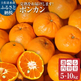 【ふるさと納税】令和8年発送 　オレンジ園のぽんかん5kg 10kg デコポンの親 みかん ミカン 果物 果実 5キロ 10キロ 柑橘 フルーツ ポンカン おやつ デザート 甘い 美味しい おいしい 完熟 ギフト 贈答 土佐 名物 国産 高知県 高知 土佐清水 故郷納税 返礼品【R01083】