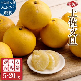 【ふるさと納税】令和8年発送 訳あり 文旦 5kg 10kg 20kg 土佐文旦 フルーツ ミカン くだもの 果物 みかん ザボン ぶんたん デザート おやつ 甘い 柑橘 柑橘類 先行受付 わけあり 訳アリ 高知県産 高知県 土佐清水市 ふるさとのうぜい 故郷納税 9000円〜 【R01086】