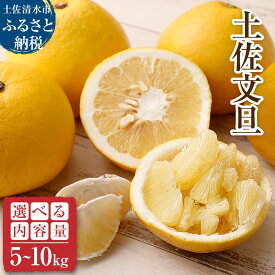 【ふるさと納税】令和8年発送　オレンジ園の土佐文旦 5kg 10kg 選べる内容量 土佐文旦 文旦 ミカン 柑橘 フルーツ 果物 みかん ザボン ぶんたん 9000円から 先行受付 ギフト 贈答 高知県 高知県産 ふるさとのうぜい 故郷納税【R01089】