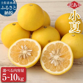 【ふるさと納税】【訳あり】オレンジ園の小夏5kg 10kg 日向夏 みかん 柑橘 フルーツ 果物 こなつ ニューサマーオレンジ 先行予約 旬 5キロ 10キロ 食感 スッキリ ご自宅用 お取り寄せ 常温 国産 訳あり 送料無料 高知県 土佐清水市 故郷納税 返礼品 【R01090】