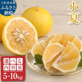 【ふるさと納税】R8発送 先行予約 オレンジ園の小夏5kg 10kg 日向夏 みかん 柑橘 フルーツ 果物 こなつ ニューサマーオレンジ 旬 5キロ 10キロ 美味しい 食感 スッキリ ギフト お取り寄せ 常温 国産 送料無料 高知県 土佐清水市 故郷納税 返礼品 高知 【R01448】
