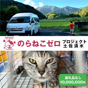 yӂ邳Ɣ[Łẑ˂[vWFNg  10,000,000~i3,000,000~jԗiȂ یL lR L ˂  ی  TNR x t E[ NEht@fBO N