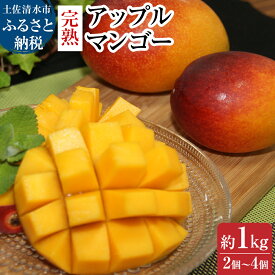【ふるさと納税】令和8年発送 完熟アップルマンゴー1kg（2個～4個入り）マンゴー アーウィン種 南国フルーツ 果物 くだもの フルーツ 沖縄 果汁 樹上完熟マンゴー ギフト プレゼント 贈答 送料無料 常温 配送 故郷納税 人気 おすすめ ランキング ランキンング【R00520】