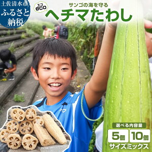 �y�ӂ邳�Ɣ[�Łz�T���S�̊C����� �G�R �w�`�}���킵 �T�C�Y�~�b�N�X 5�� 10�� �Z�b�g �X�|���W �����C �|�� �{�f�B �L�b�`���X�|���W �䏊 �|���X�|���W ���� �X�L���P�A ���q �^���V �ւ�