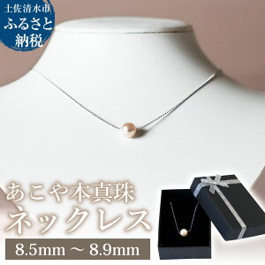 yӂ邳Ɣ[Łz{^ Vo[`F[ lbNXi8.5mm`8.9mmjzCgsNJ[ ȈՕۊǃP[Xt y_g p[ ANZT[ v[g ̓ 蕨 Mtg 6a