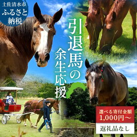 【ふるさと納税】引退馬 余生支援 選べる寄附額 返礼品なし 養老馬 競走馬 引退競走馬 馬支援 競馬 馬 うま ウマ 馬支援 動物 あしずりダディー牧場 故郷納税 高知県 土佐清水市 ふるさとのうぜい【R01528】