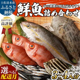 【ふるさと納税】 鮮魚 ボックス 詰め合わせ 年末配送 選べる発送月 配送月 朝獲れ 朝どれ 旬 3~4人分 魚介 海鮮 刺身 魚料理 まるごと 魚 生魚 さかな 専業主婦 高知 サバ タイ アジ カツオ カマス カンパチ セット おまかせ 産地直送 漁師直送 高知 13000円【S00818】