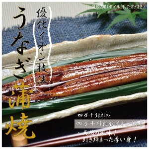 天然 うなぎの人気商品 通販 価格比較 価格 Com