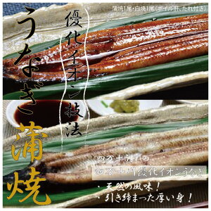 天然 うなぎの人気商品 通販 価格比較 価格 Com
