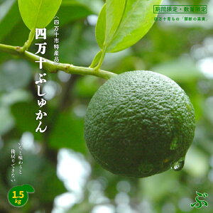 yӂ邳Ɣ[Łz t Ԍ ʌ l\sYi Ƃ_Əiȍ l\Ԃォ  1.5kg Y t[c ʕ { Ԃォ uVJ 芹 k m