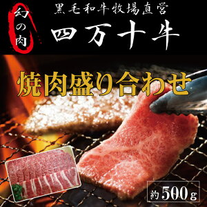 yӂ邳Ɣ[ŁzR5-978D̎l\@l\Yјa@ē荇킹@500g јa@ē@ m Yn 