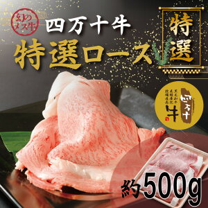 yӂ邳Ɣ[ŁzR5-974D̃X l\I[XXCXiĂEԂԗpj500g Y m ܂ l\ l\ X  q꒼   јa 