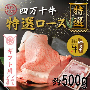 yMtgpiÊΉjzyӂ邳Ɣ[ŁzR5-974GD̃X l\I[XXCXiĂEԂԗpj500gm ܂ l\  q꒼  јa