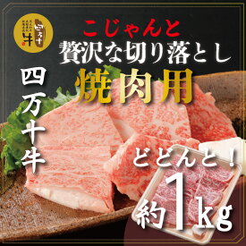 【ふるさと納税】R5-979．幻の四万十牛 四万十産黒毛和牛 焼肉用 切り落とし 約1kg ふるさと納税 高知 肉 黒毛和牛 お取り寄せ 産地直送 送料無料