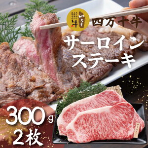 yӂ邳Ɣ[ŁzR5-981D̃X@l\T[CXe[Li300g×2jY m ܂ l\ l\ X  q꒼  јa l\s ґ T[C X