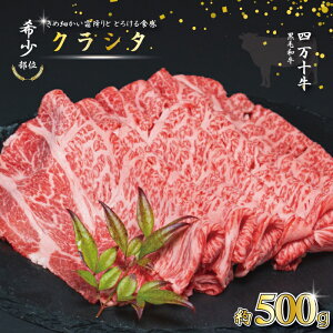 yӂ邳Ɣ[Łzyq꒼z󏭕 l\ NV^ [X XCX 500g q꒼    јa ~ a Y m m ܂ l\ X J Ă 