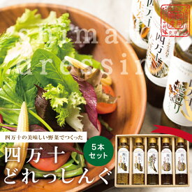 【ふるさと納税】 四万十どれっしんぐ 5本 入り セット おいしい 食卓 調味料 ドレッシング ソース サラダ 野菜 やさい まとめ買い グルメ お取り寄せ 母の日 父の日 敬老の日 贈り物 プレゼント ギフト 高知 高知県 四万十 四万十市 しまんと 25-100