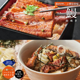 【土用の丑の日までにお届け】【ふるさと納税】24-360U．＜四万十食品＞うなぎ蒲焼　ハーフ4袋．きざみ2袋／C 国産 高知 四万十 ウナギ お取り寄せ グルメ ギフト 国産鰻 蒲焼 鰻蒲焼 小分け ハーフ きざみ 送料無料 冷凍 土用 丑の日