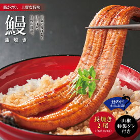 【土用の丑の日までにお届け】【ふるさと納税】24-366U．＜四万十食品＞うなぎ蒲焼　長焼2尾／BC 国産 高知 四万十 しまんと 鰻 うなぎ うな重 おかず ウナギ ギフト お取り寄せ グルメ 冷凍 国産鰻 蒲焼 鰻蒲焼 2尾 送料無料 土用 丑の日