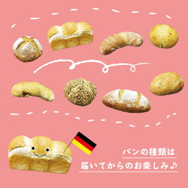 【ふるさと納税】R5-031．「ドイツパン工房　ブロート屋」のおまかせセットDX ドイツパン パン ぱん ドイツ 美味しい おいしい 朝食 セット商品 グルメ お取り寄せ 高知県 高知 四万十市 四万十 送料無料