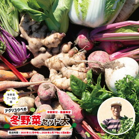 【ふるさと納税】 早期受付 数量限定 とれたて 新鮮 農家直送 アグリユウベの冬野菜セット (大) 国産 野菜セット 野菜便 やさい 野菜 冬野菜 ベジタブル 産地直送 国産 旬 高知県 四万十市 四万十 しまんと 送料無料 【2025年11月中旬～2026年2月下旬に1回発送】25-761
