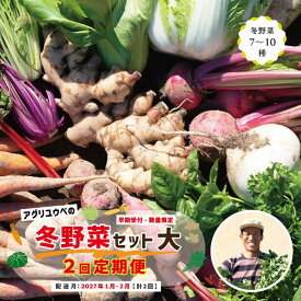 【ふるさと納税】【選べる容量】2回定期便 アグリユウベの冬野菜セット 小 大 早期受付 数量限定 とれたて 新鮮 農家直送 国産 野菜セット 詰め合わせ 野菜便 やさい 野菜 冬野菜 旬 高知県 四万十市 四万十 しまんと 送料無料【配送月：2027年1月・2月】