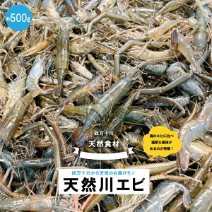 yӂ邳Ɣ[Łz24-480DVRHށIl\̓VRGr 500g Y m l\s l\ ܂ l\  VR  Gr Gr CV o[xL[ BBQ Lv 蒷Gr eiKGr