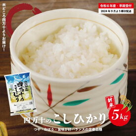 【ふるさと納税】24-148．【令和6年産新米・早期受付】 四万十のこしひかり 5kg こしひかり コシヒカリ ごはん こめ コメ 米 白米 精米 国産 高知県 高知 四万十 送料無料 【2024年9月より順次配送】