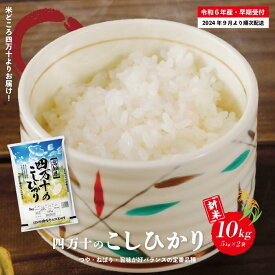 【ふるさと納税】24-149．【令和6年産新米・早期受付】 四万十のこしひかり 10kg こしひかり コシヒカリ ごはん こめ コメ 米 白米 精米 国産 高知県 高知 四万十 送料無料 【2024年9月より順次配送】