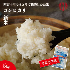 【ふるさと納税】24-950．【令和6年産新米・早期受付】最後の清流「四万十川」のほとりで栽培したお米！四万十市産コシヒカリ5kg 高知 四万十 送料無料 令和6年 新米 予約 先行 米 白米 精米 ごはん コシヒカリ 旨み ツヤ 5kg お弁当 しまんと【2024年9月上旬より順次発送】