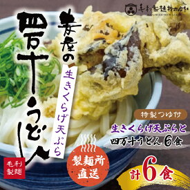 【ふるさと納税】R5-795．【数量限定】四万十うどんと生きくらげの天ぷら6食セット
