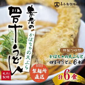 【ふるさと納税】R5-796．【数量限定】四万十うどんとカボチャの天ぷら6食セット