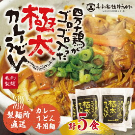 【ふるさと納税】R5-185．四万十鶏がゴロゴロ入った極太カレーうどん　5食セット　 国産 高知 四万十 うどん スパイシー カレー お取り寄せ グルメ 送料無料