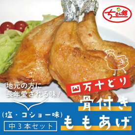 【ふるさと納税】R5-936．【ちきん館】四万十鶏骨付もも揚げ（塩・コショー味）中 3本セット おかず チキン 鶏 鶏肉 ちきん クリスマス パーティー ローストチキン 高知 しまんと 四万十 四万十市 送料無料 四万十鶏 お取り寄せ 総菜 レトルト 骨付き 国産